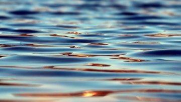 Kemin-Tornion-Kalixin saaristossa on veteen upotettuja tutkimuslaitteita kalojen liikkeiden seuraamiseksi