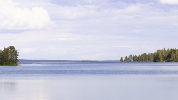 Lapin kalatalouskeskus järjestäytyy uudeksi yhdistykseksi - ProAgria Lapin toiminta päättyy