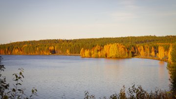 Kalatalousalueilta valitukset Suhangon kaivoksen ympäristö- ja vestalousluvista ja Kittilän kaivoksen uudesta ympäristöluvasta