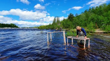 Laatu, jäljitettävyys ja hankinnat haltuun - tarjolla kaksiosainen maksuton koulutus kala-alan toimijoille
