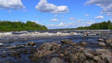 MMM: Tornionjoella sallitaan enintään kahden lohen saalis kalastajaa kohden