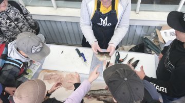 Valtakunnallista kalastuspäivää vietetään Lapissa kesän lopettajaisiksi