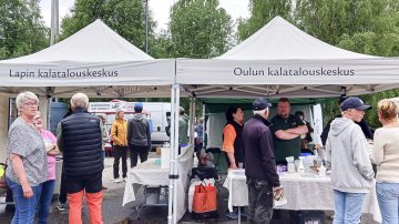 Muikkumarkkinat avasi Lapin ja Oulun yhteistyön