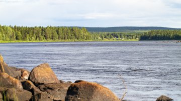 Tenon ja Tornion-Muonionjoen huono lohitilanne huolestuttaa kalatalouden toimijoita