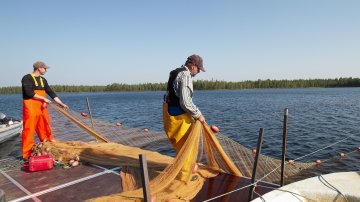 Ala-Suolijärven hoitokalastus on osa kalanhoitovelvoitetta