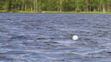 Kesällä on hyvä muistaa, että pyydysten merkintä on pakollista